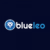 The Blue Partners
