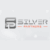 Silver Partners
