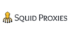 Squid Proxies